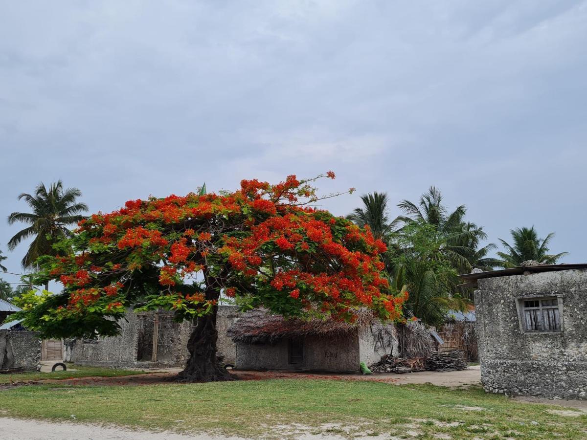 Beachfront Villa Ladha Ya Zanzibar Джамбиани Екстериор снимка