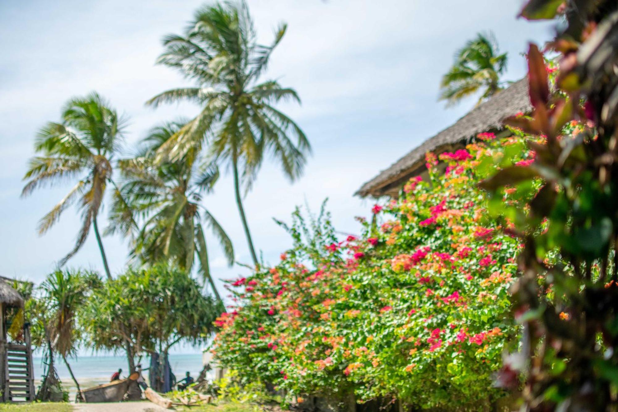 Beachfront Villa Ladha Ya Zanzibar Джамбиани Екстериор снимка
